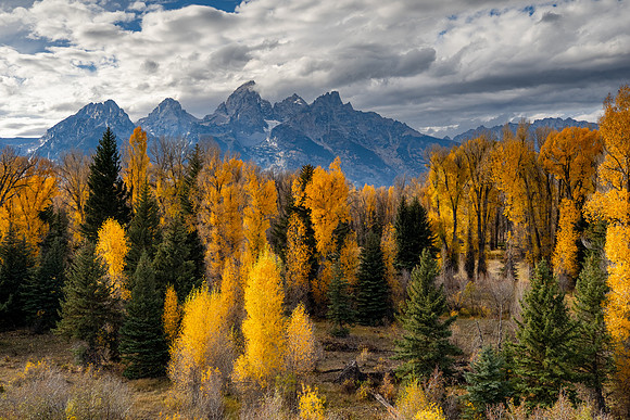 Grand Tetons National Park