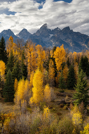 Grand Tetons National Park