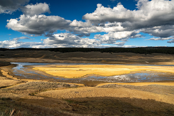 Yellowstone National Park 2025