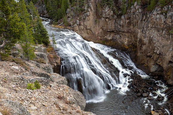 Yellowstone National Park 2025