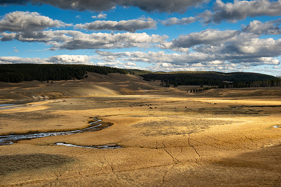 Yellowstone National Park 2025