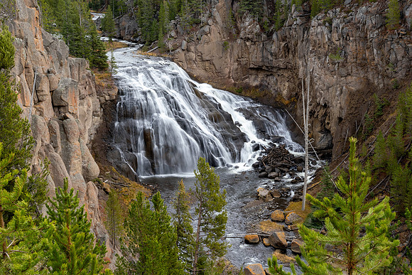 Yellowstone National Park 2025