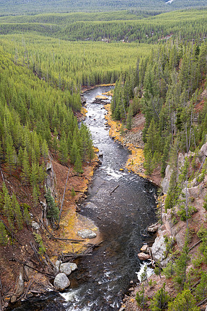 Yellowstone National Park 2025
