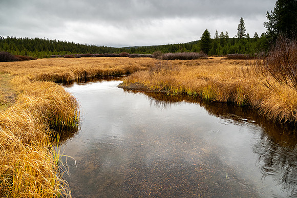 Yellowstone National Park 2025