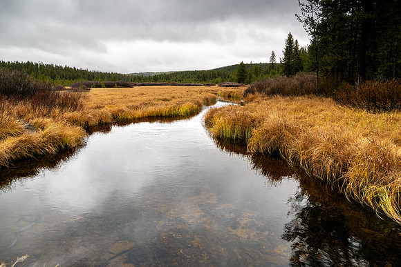 Yellowstone National Park 2025