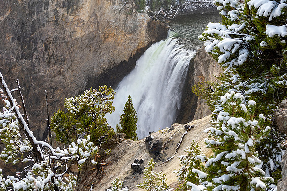 Yellowstone National Park 2025