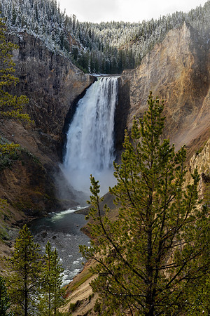 Yellowstone National Park 2025