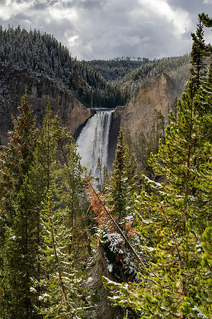 Yellowstone National Park 2025