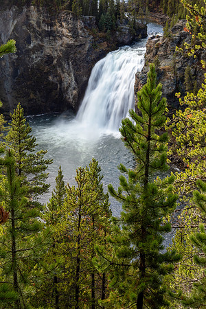 Yellowstone National Park 2025