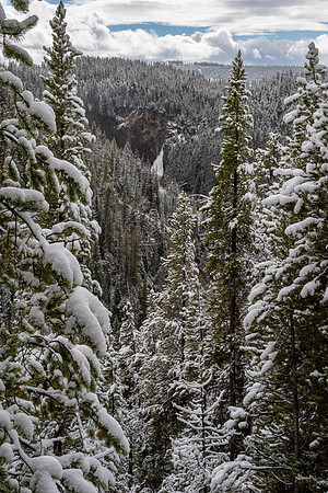 Yellowstone National Park 2025