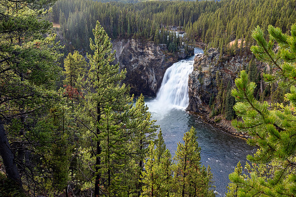 Yellowstone National Park 2025