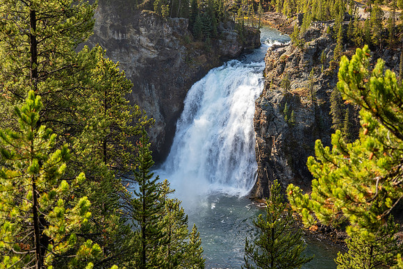 Yellowstone National Park 2025