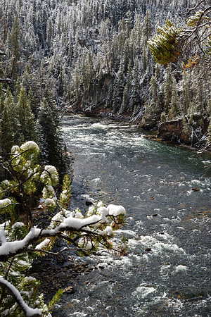 Yellowstone National Park 2025