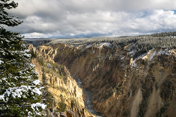 Yellowstone National Park 2025