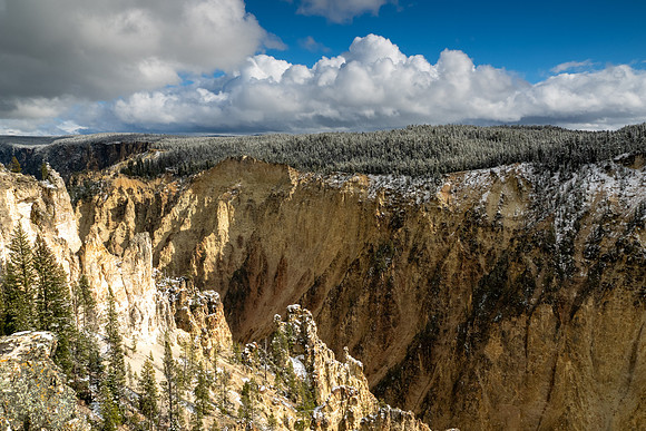 Yellowstone National Park 2025