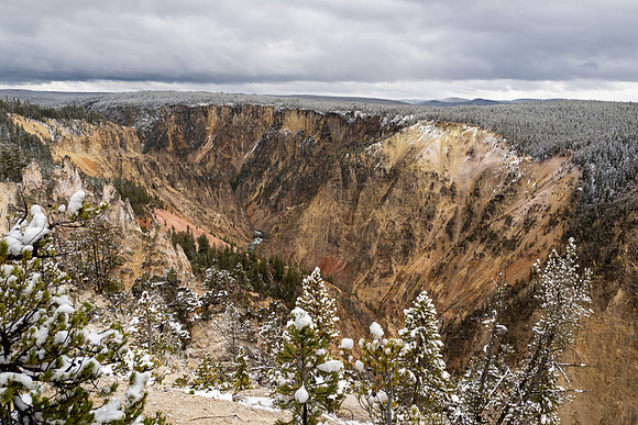 Yellowstone National Park 2025