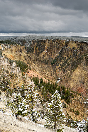 Yellowstone National Park 2025