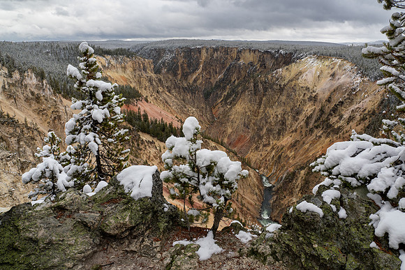 Yellowstone National Park 2025