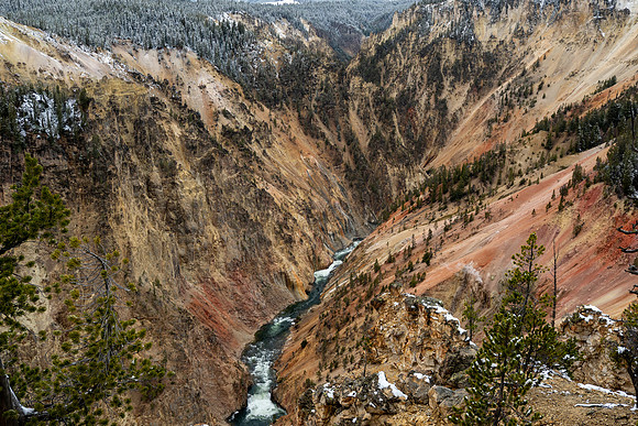 Yellowstone National Park 2025