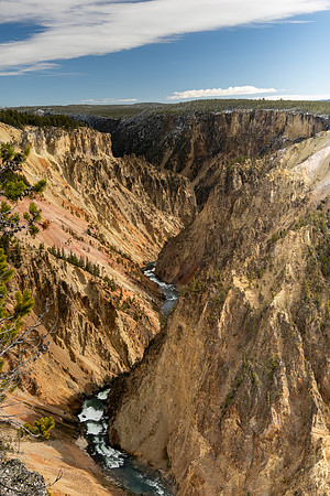 Yellowstone National Park 2025