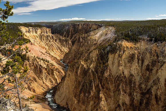 Yellowstone National Park 2025