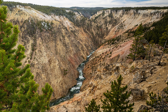 Yellowstone National Park 2025