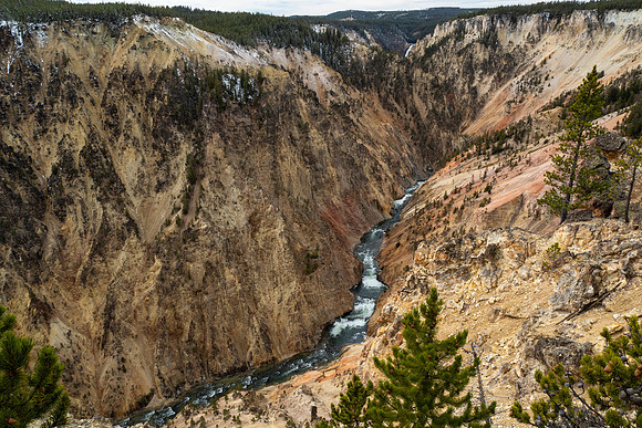 Yellowstone National Park 2025