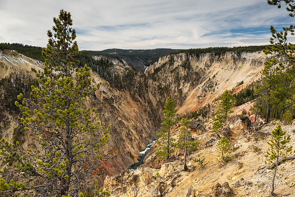 Yellowstone National Park 2025
