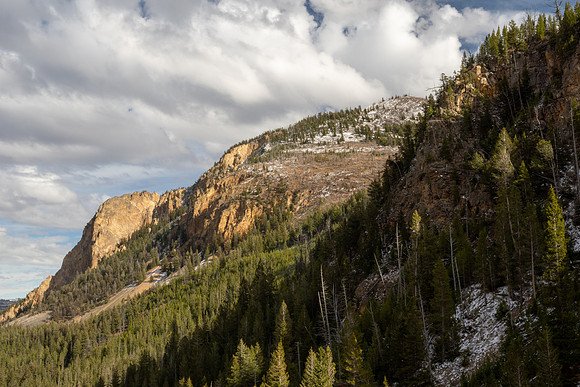 Yellowstone National Park 2025
