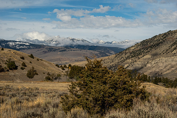 Yellowstone National Park 2025