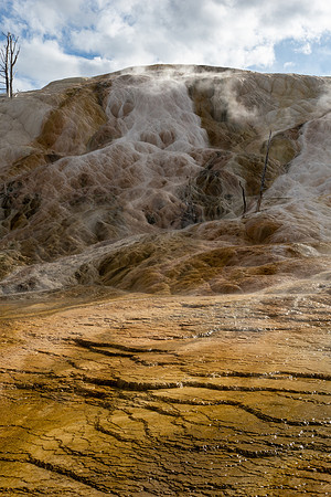 Yellowstone National Park 2025