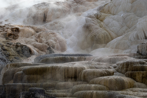 Yellowstone National Park 2025