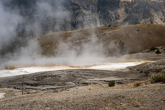 Yellowstone National Park 2025