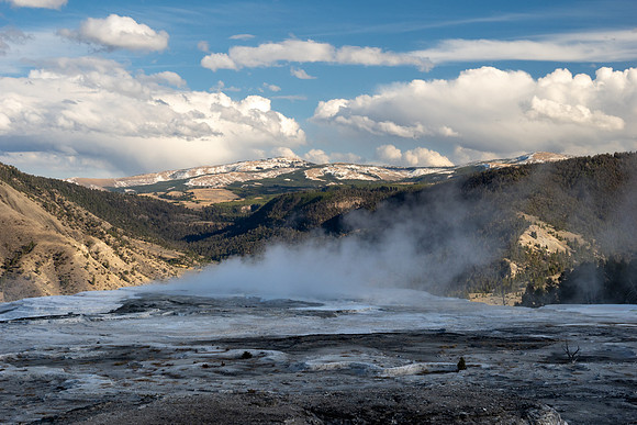 Yellowstone National Park 2025
