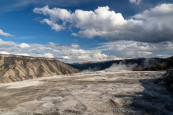 Yellowstone National Park 2025