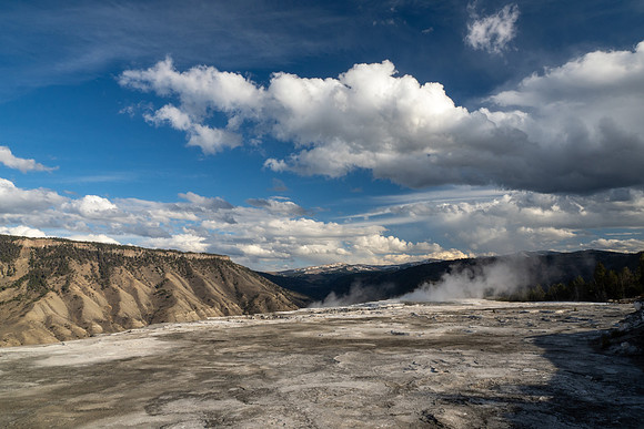 Yellowstone National Park 2025