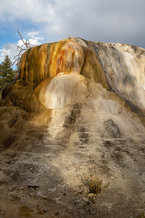 Yellowstone National Park 2025
