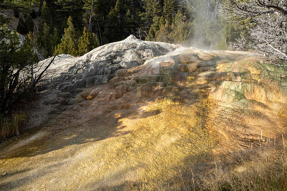 Yellowstone National Park 2025