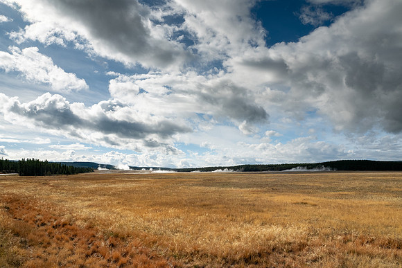 Yellowstone National Park 2025