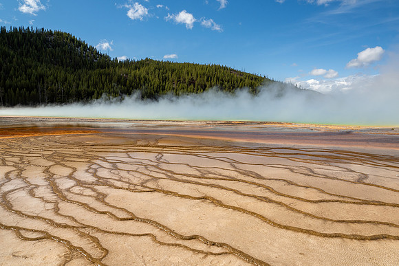 Yellowstone National Park 2025