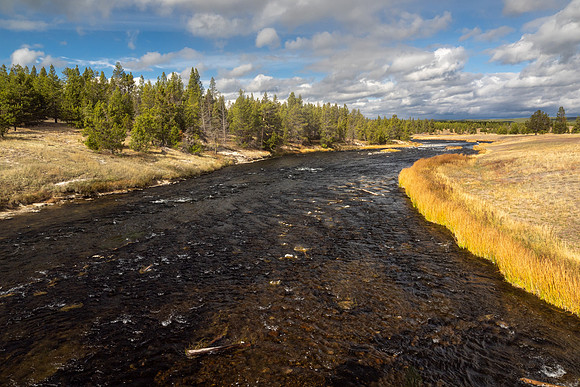 Yellowstone National Park 2025