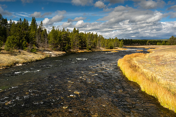 Yellowstone National Park 2025