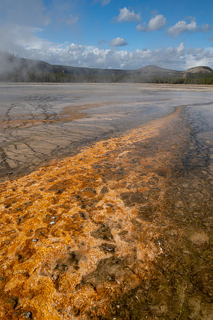 Yellowstone National Park 2025