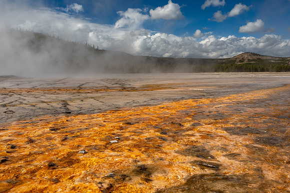 Yellowstone National Park 2025