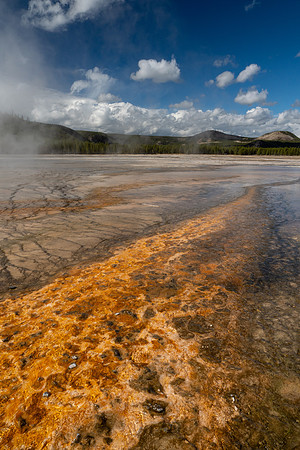 Yellowstone National Park 2025