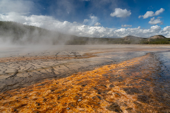 Yellowstone National Park 2025