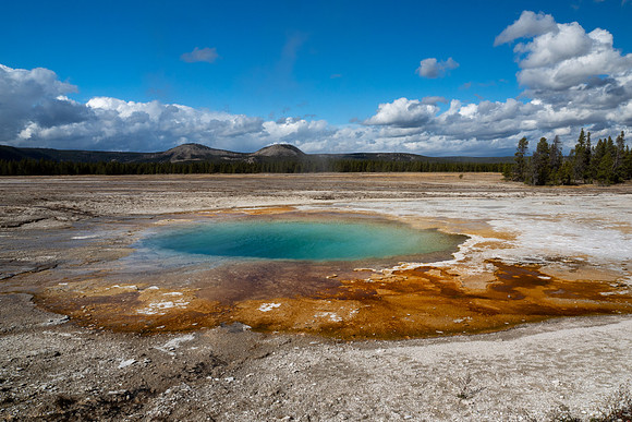 Yellowstone National Park 2025