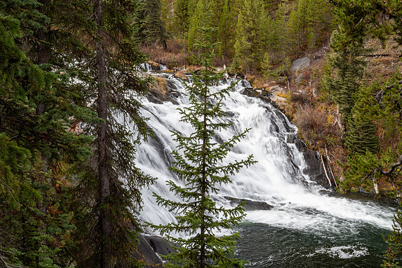 Yellowstone National Park 2025