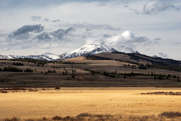 Yellowstone National Park 2025