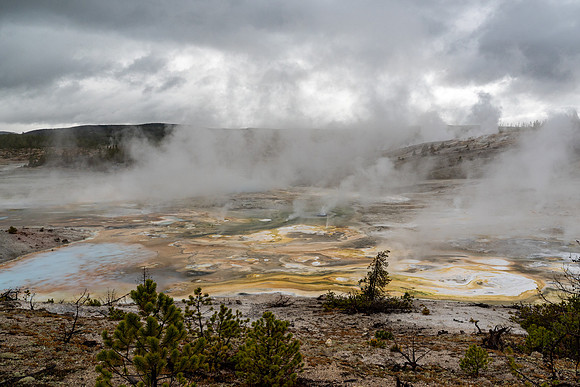 Yellowstone National Park 2025
